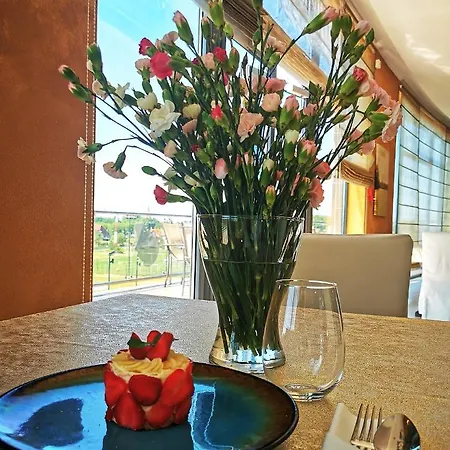 Mistral Sport Gniewino