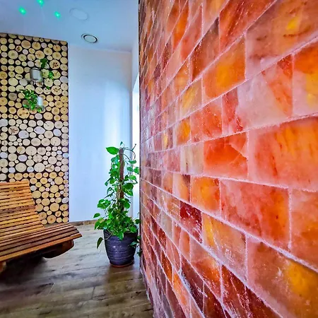 Mistral Sport Gniewino