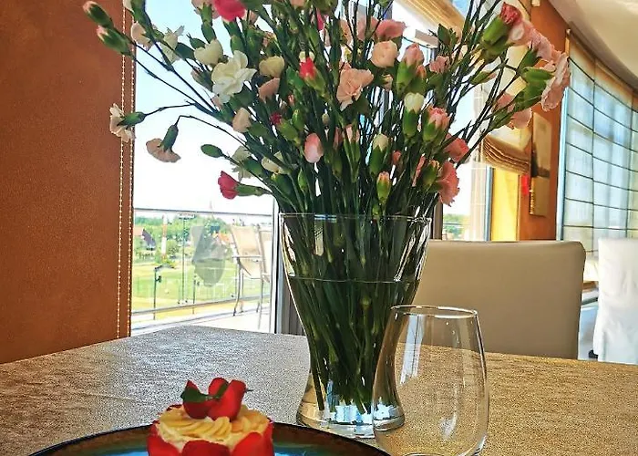 Mistral Sport Gniewino